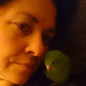 Meet your Posher, Laura